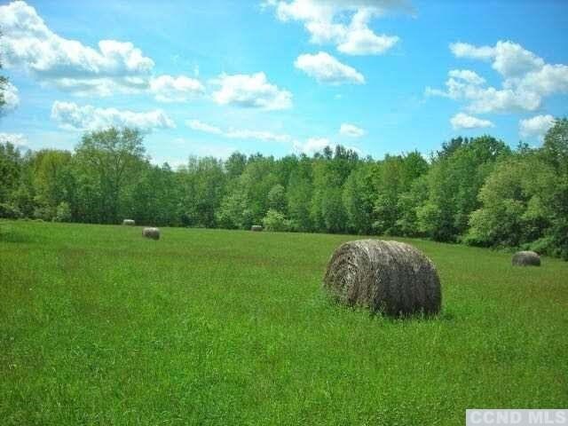 0 Skunks Misery Rd, Millerton, NY 12546 - photo 1