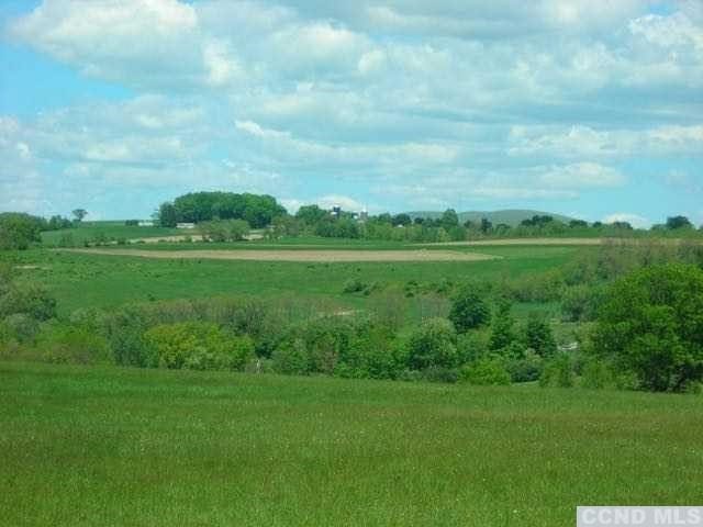 0 Skunks Misery Rd, Millerton, NY 12546 - photo 3