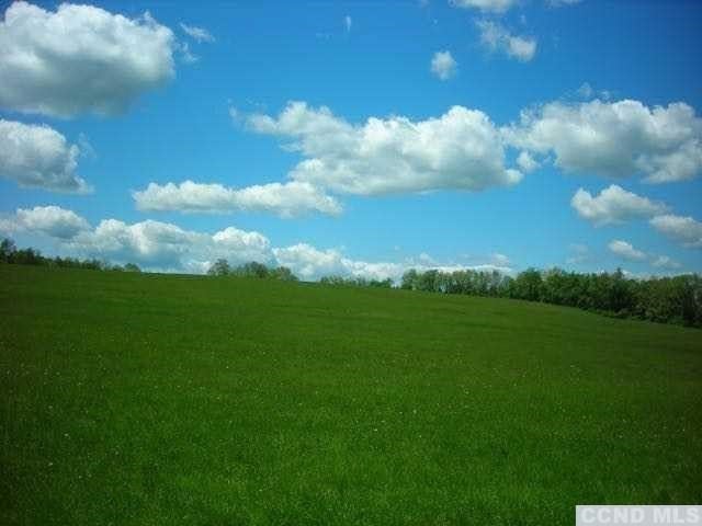0 Skunks Misery Rd, Millerton, NY 12546 - photo 2