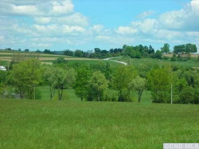 0 Skunks Misery Rd, Millerton, NY 12546 - photo 4