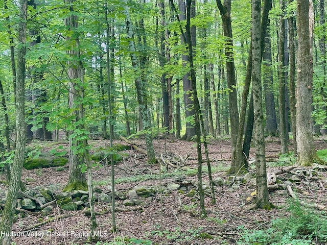 000 County Route 6, High Falls, NY 12440 - photo 13
