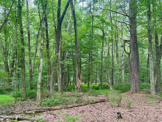 000 County Route 6, High Falls, NY 12440 - photo 15