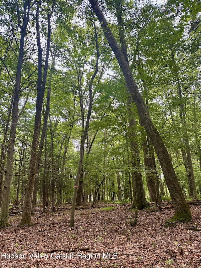 000 County Route 6, High Falls, NY 12440 - photo 2