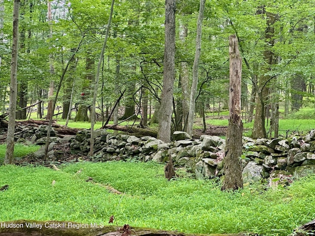 000 County Route 6, High Falls, NY 12440 - photo 5