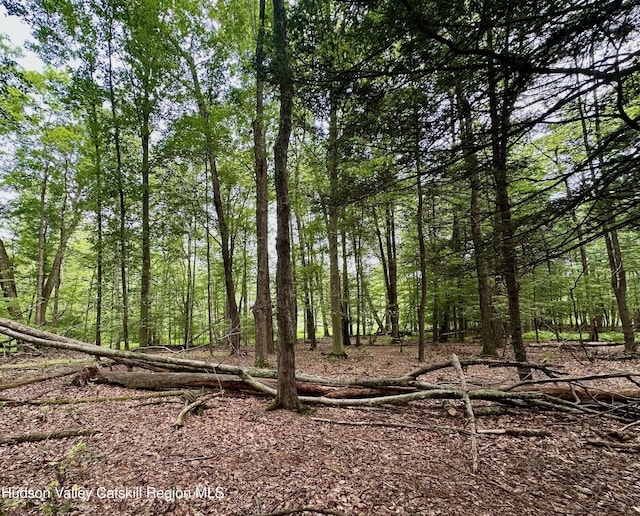 000 County Route 6, High Falls, NY 12440 - photo 20