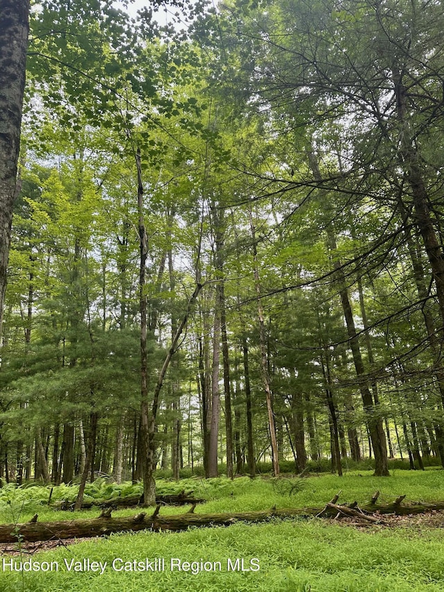 000 County Route 6, High Falls, NY 12440 - photo 12