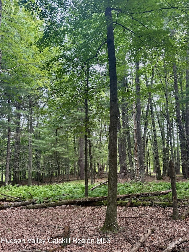000 County Route 6, High Falls, NY 12440 - photo 21