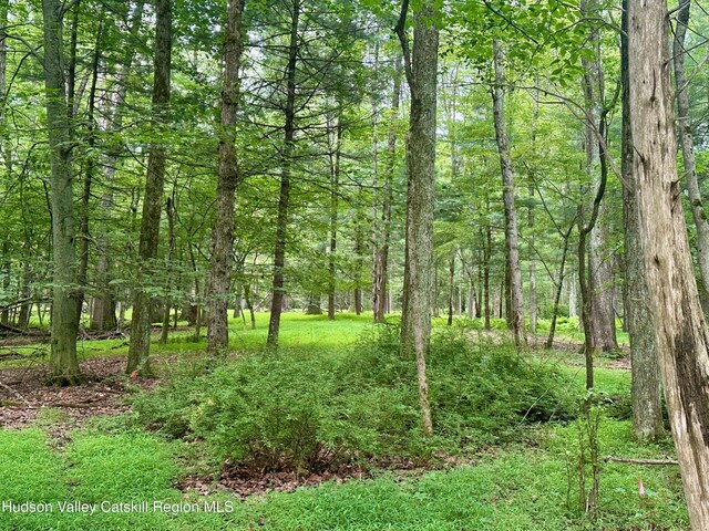 000 County Route 6, High Falls, NY 12440 - photo 16