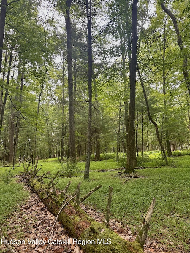 000 County Route 6, High Falls, NY 12440 - photo 19