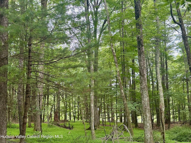 000 County Route 6, High Falls, NY 12440 - photo 14