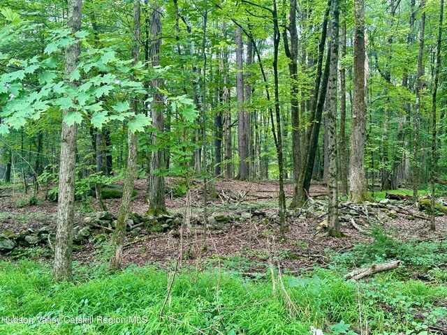 000 County Route 6, High Falls, NY 12440 - photo 6