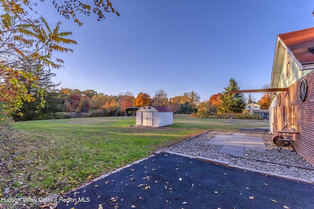 view of yard featuring a patio area and a shed
