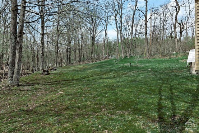 1199 Hervey Sunside Rd, Cornwallville, NY 12418 - photo 35