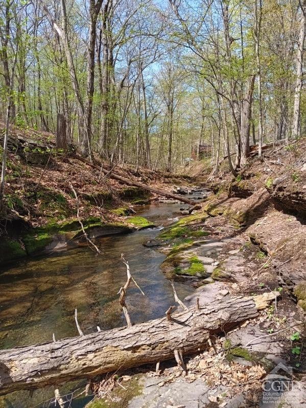 1199 Hervey Sunside Rd, Cornwallville, NY 12418 - photo 3