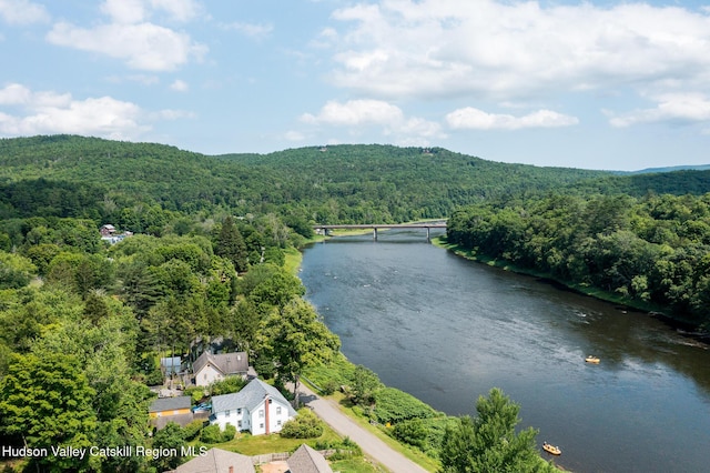 48 River Rd, Barryville, NY 12719 - photo 8