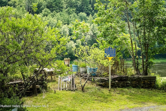 48 River Rd, Barryville, NY 12719 - photo 9