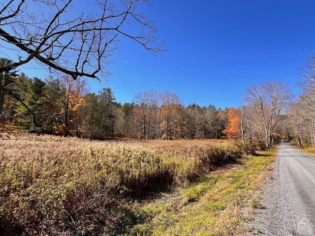 50-61 Dugway, Hillsdale, NY 12529 - photo 13