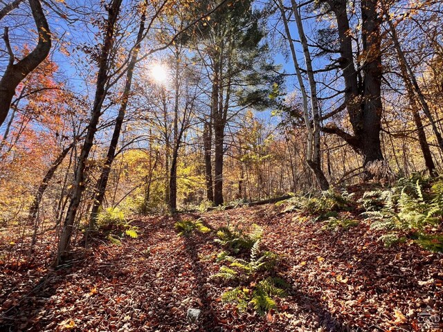 50-61 Dugway, Hillsdale, NY 12529 - photo 6