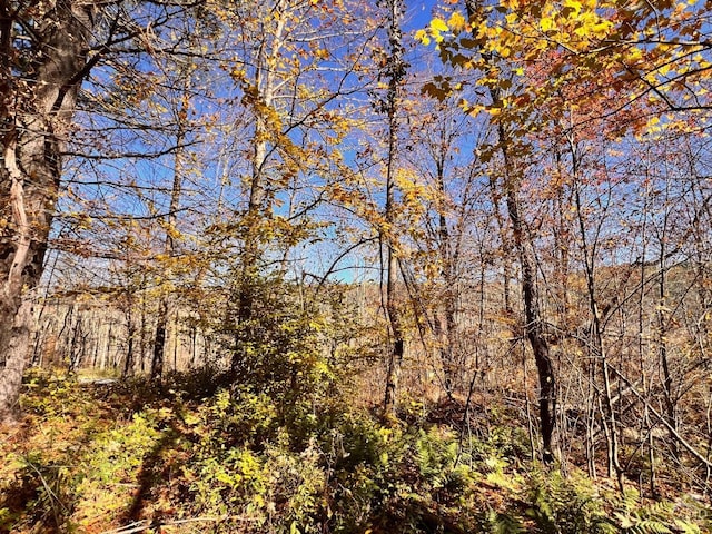 50-61 Dugway, Hillsdale, NY 12529 - photo 2