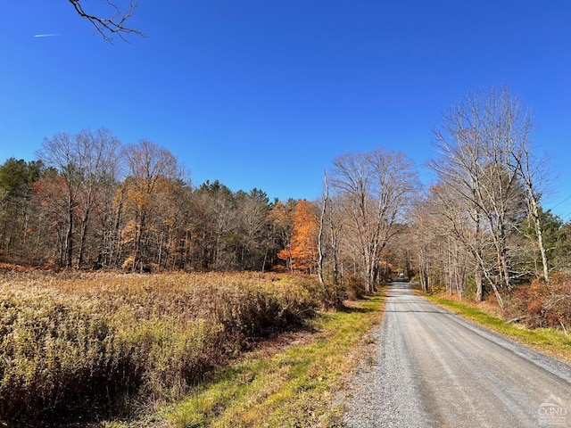 50-61 Dugway, Hillsdale, NY 12529 - photo 12