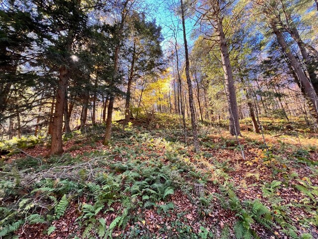 50-61 Dugway, Hillsdale, NY 12529 - photo 7