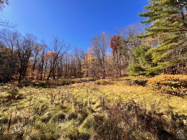 50-61 Dugway, Hillsdale, NY 12529 - photo 17