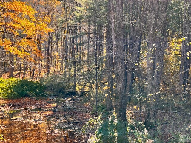 50-61 Dugway, Hillsdale, NY 12529 - photo 11