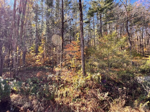 50-61 Dugway, Hillsdale, NY 12529 - photo 14
