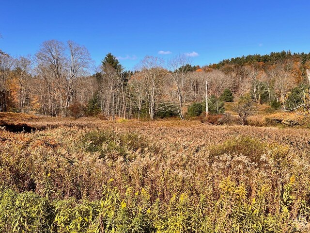 50-61 Dugway, Hillsdale, NY 12529 - photo 1