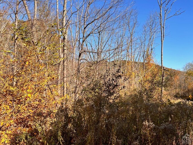 50-61 Dugway, Hillsdale, NY 12529 - photo 9