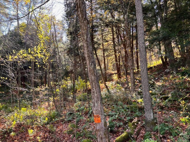 50-61 Dugway, Hillsdale, NY 12529 - photo 8