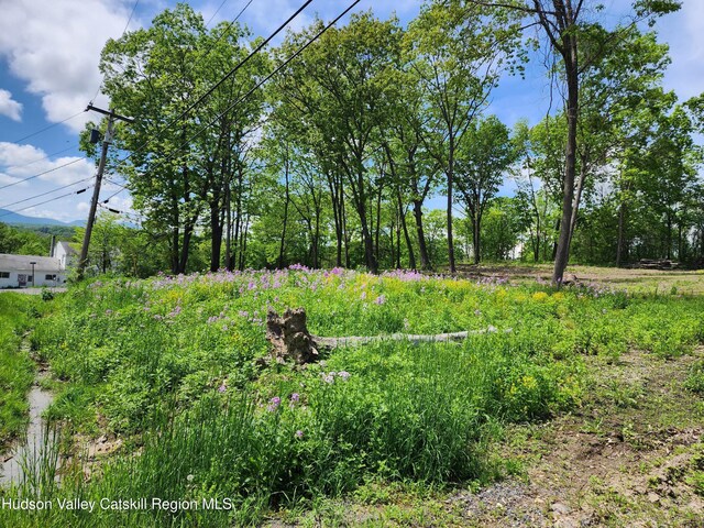 28 Vosenkill Rd, Catskill, NY 12414