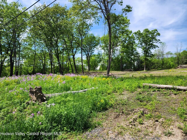 28 Vosenkill Rd, Catskill, NY 12414