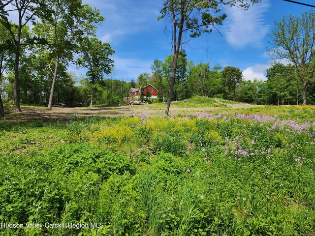 28 Vosenkill Rd, Catskill, NY 12414