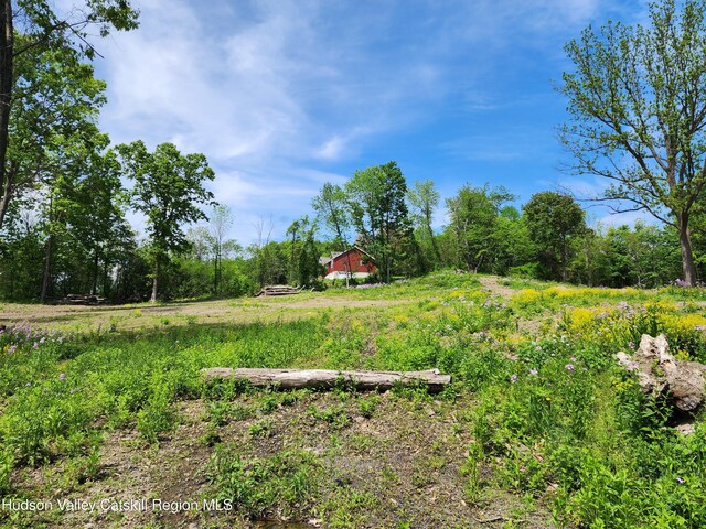 28 Vosenkill Rd, Catskill, NY 12414