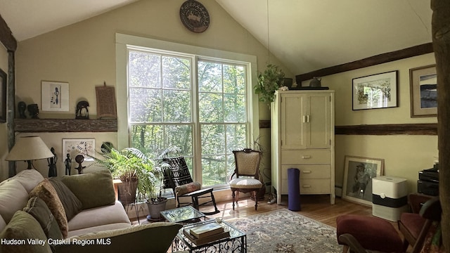 2448 Lucas Tpke, High Falls, NY 12440 - photo 9
