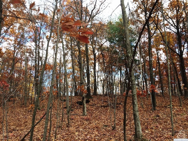 12 Birch Hill Rd, Copake, NY 12521
