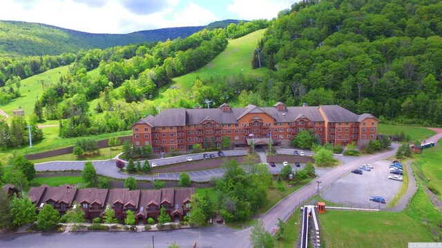 62 Liftside Dr Unit 432K4, Hunter, NY 12442 - bird's eye view of a heavily wooded area