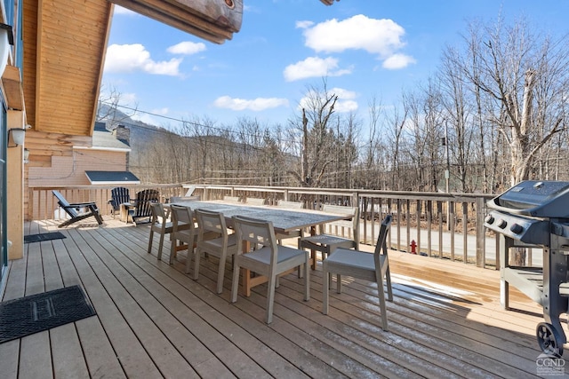 52 Glen Ave, Hunter, NY 12442 - photo 29