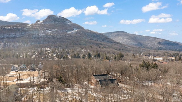 52 Glen Ave, Hunter, NY 12442 - photo 3
