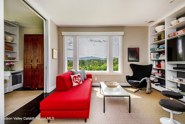 336 Main St, Germantown, NY 12526 - photo 20
