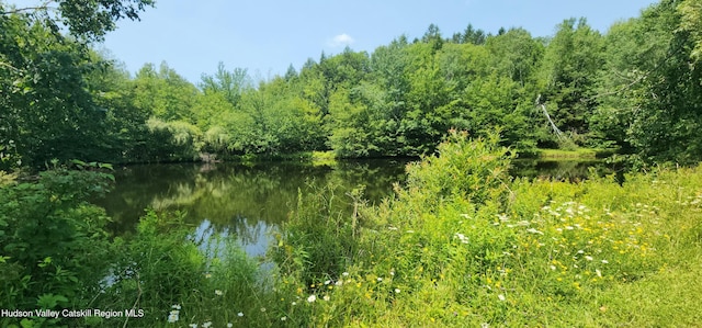 273 E Conesville Rd, Conesville, NY 12076 - water view featuring a heavily wooded area