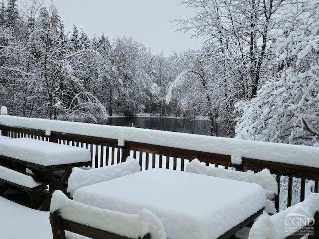 273 E Conesville Rd, Conesville, NY 12076 - view of snow covered deck