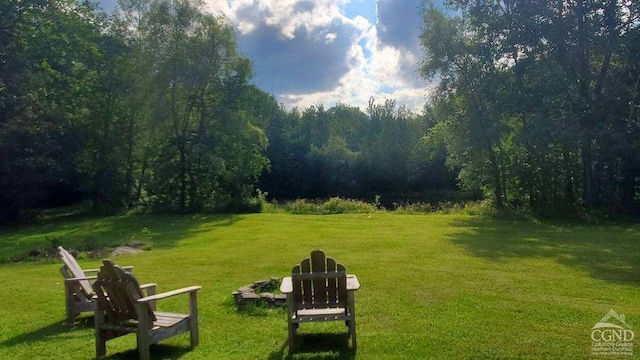 273 E Conesville Rd, Conesville, NY 12076 - view of grassy yard