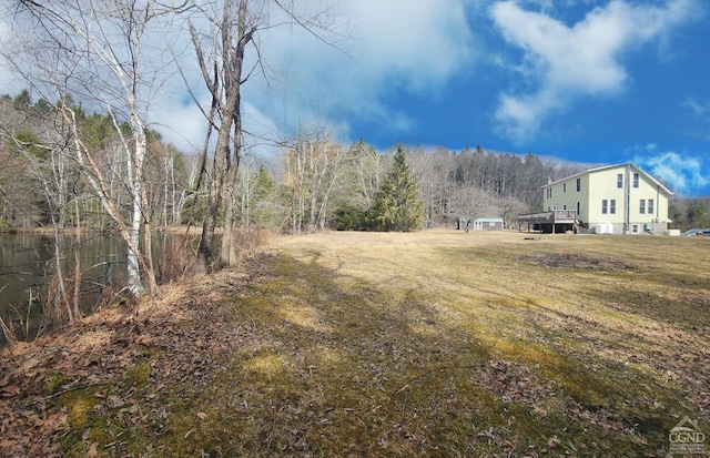 273 E Conesville Rd, Conesville, NY 12076 - view of yard with a wooden deck