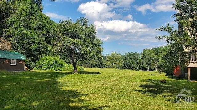 273 E Conesville Rd, Conesville, NY 12076 - view of green lawn with a storage unit and a forest view