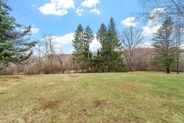 198 Richmond Rd, Valatie, NY 12184 - photo 92
