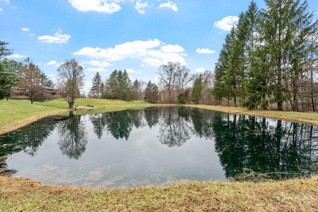 198 Richmond Rd, Valatie, NY 12184 - photo 89