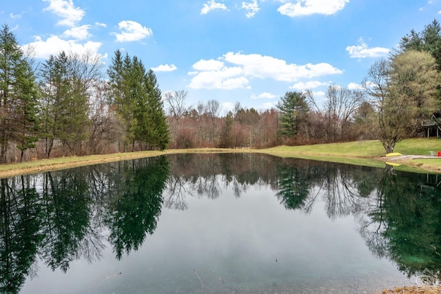 198 Richmond Rd, Valatie, NY 12184 - photo 90