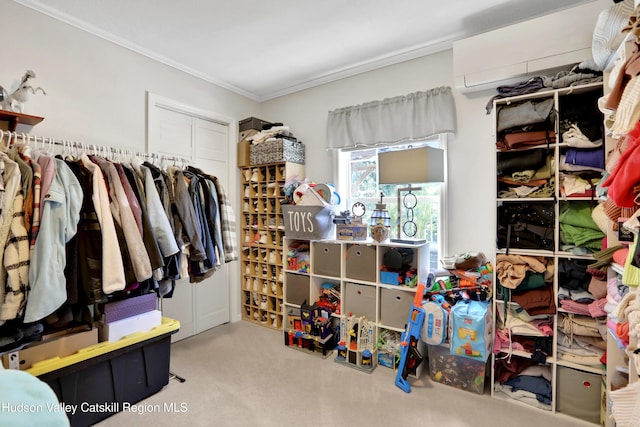 8 Orlich Rd, Red Hook, NY 12571 - walk in closet with carpet floors and a wall mounted air conditioner